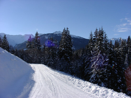 Winter